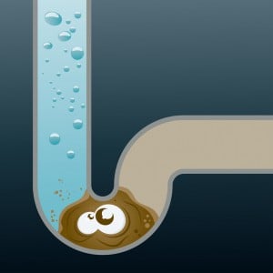 Ted Serjak Plumbing & Drain Cleaning