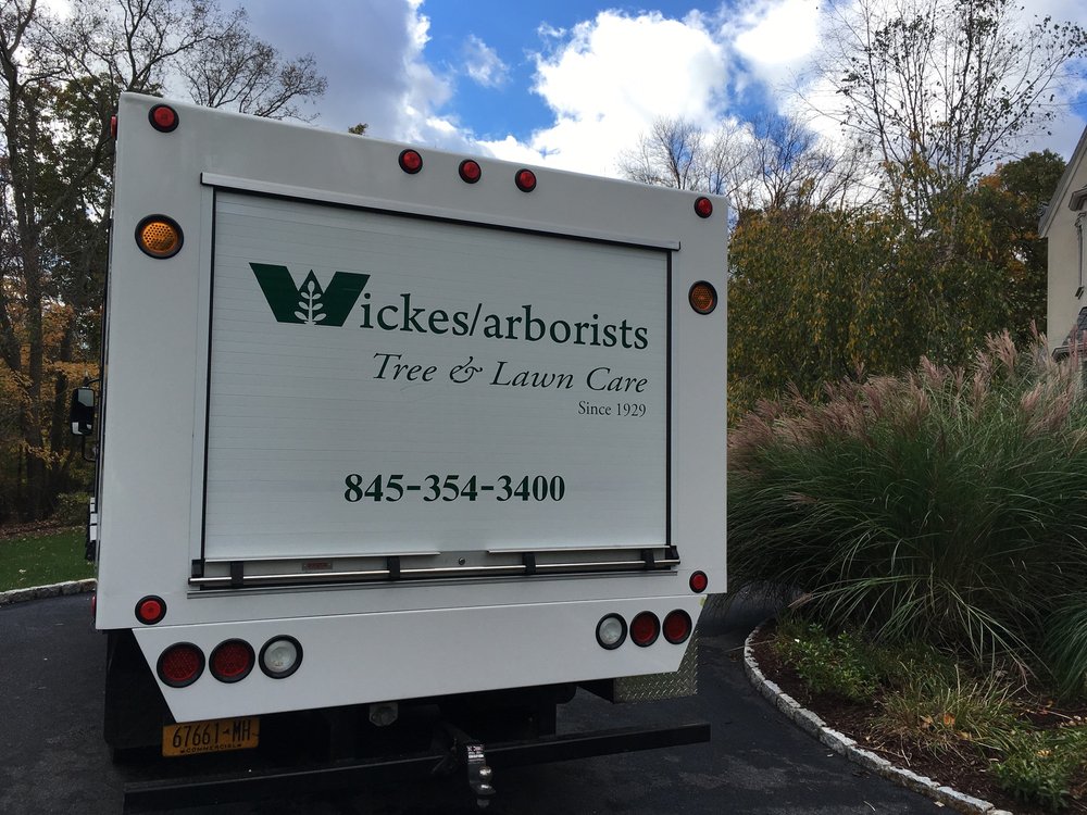 Wickes Arborists