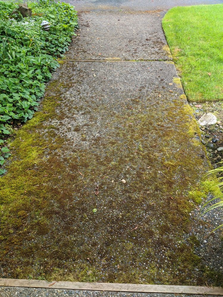 Cameron Window & Gutter Cleaning