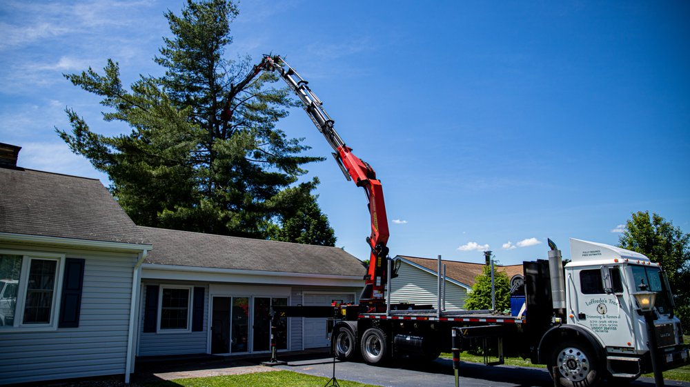 Loffredo's Tree Trimming & Removal