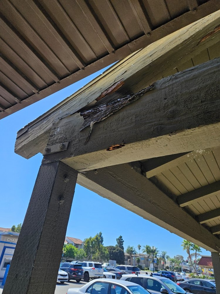 Hi Tech Termite Control