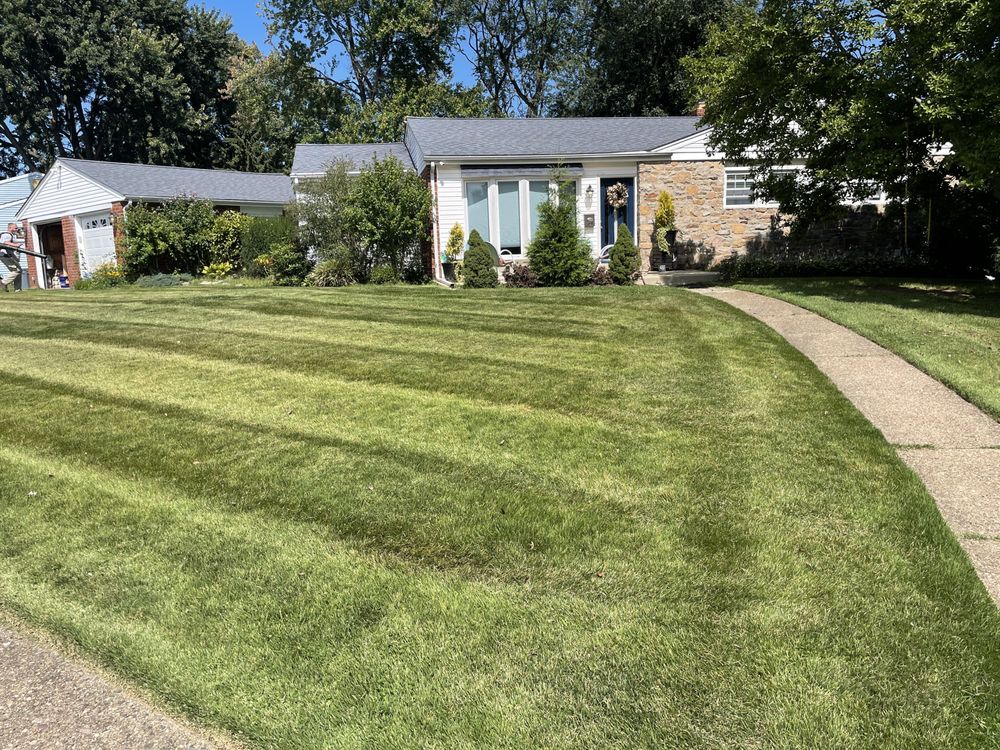 Clover Lawn and Garden
