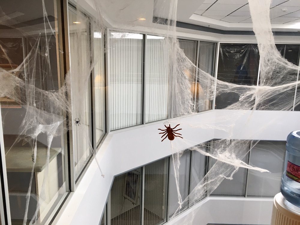 image of business The Dentists South Shore