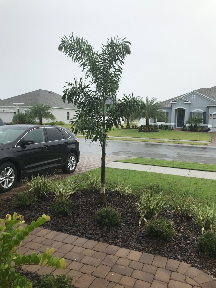 Blue Bell Landscaping
