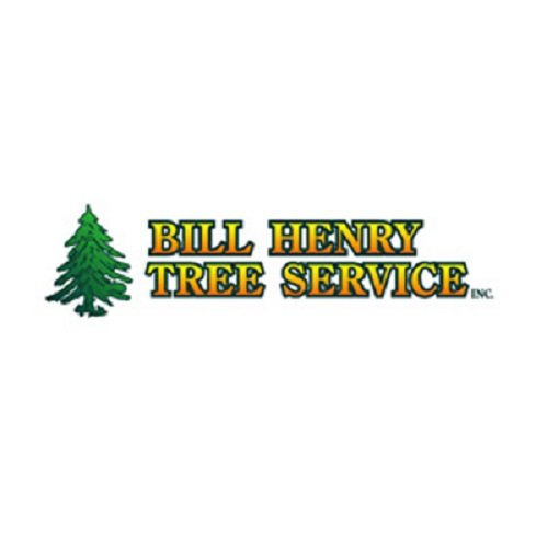 Bill Henry Tree Service Services 47 Prospect Hill Rd Bill Henry Tree Service Services 47 Prospect Hill Rd Brewster Ny Phone Number Yelp