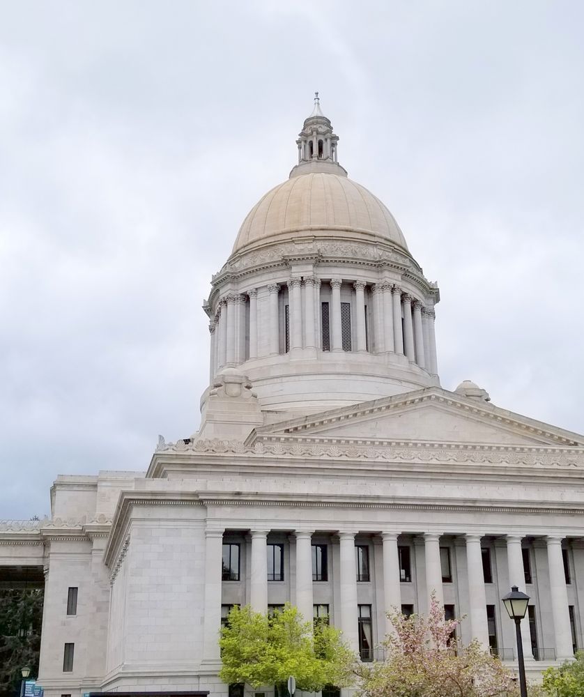 Anna-Lisa Schorn - Van Dorm Realty