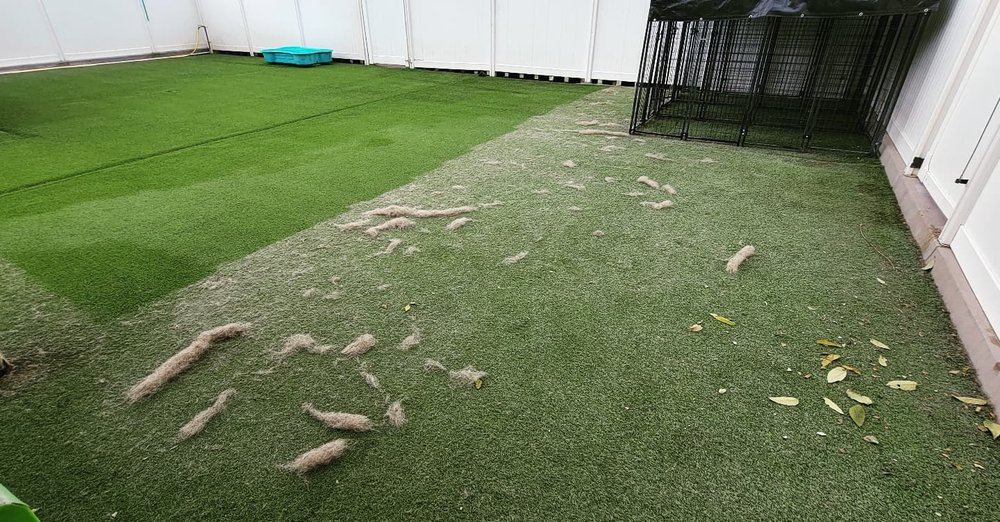 Total Turf Care