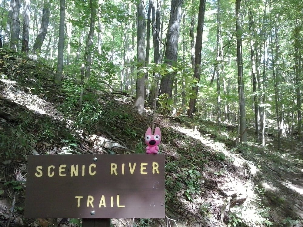 Wayne National Forest Marietta Unit Hiking 27515 State Rt 7