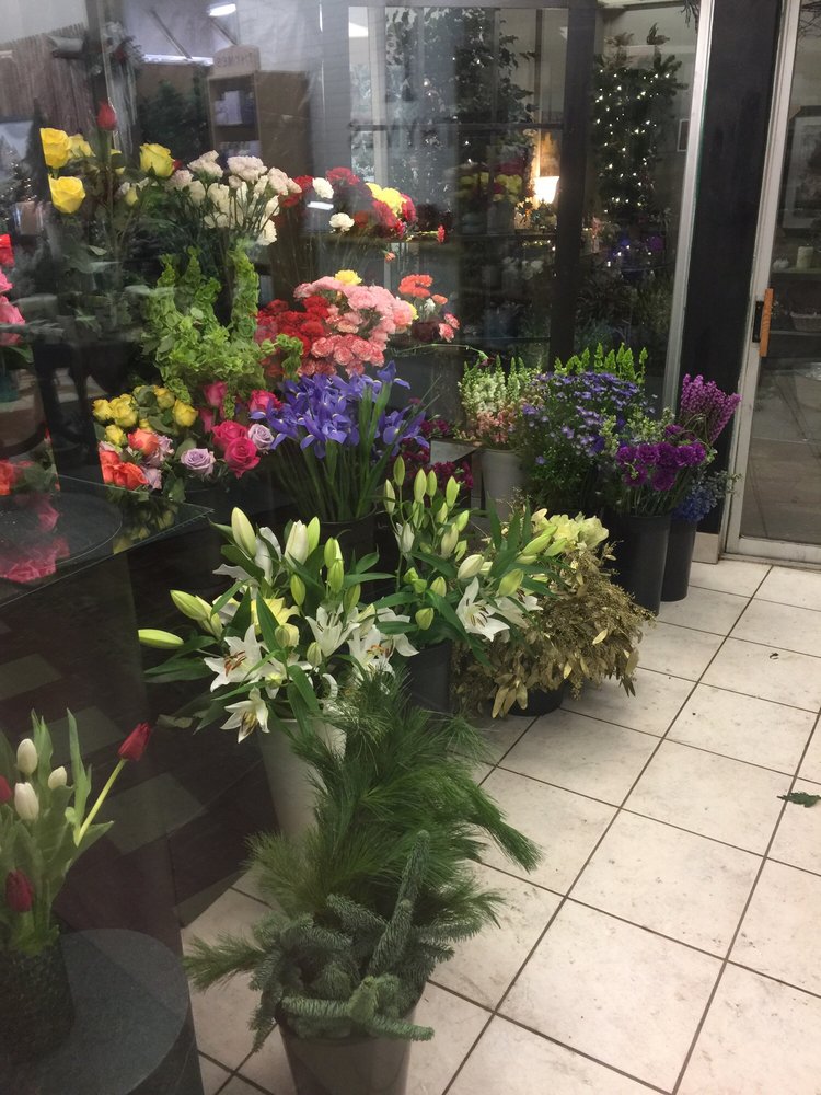 Christmas Flower Ping For Mom Yelp Christmas Flower Ping For Mom Yelp