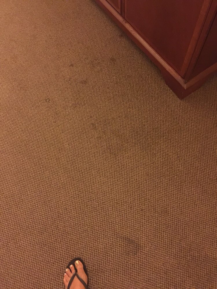 Red Carpet Inn