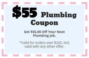 image of business The Pink Plumber