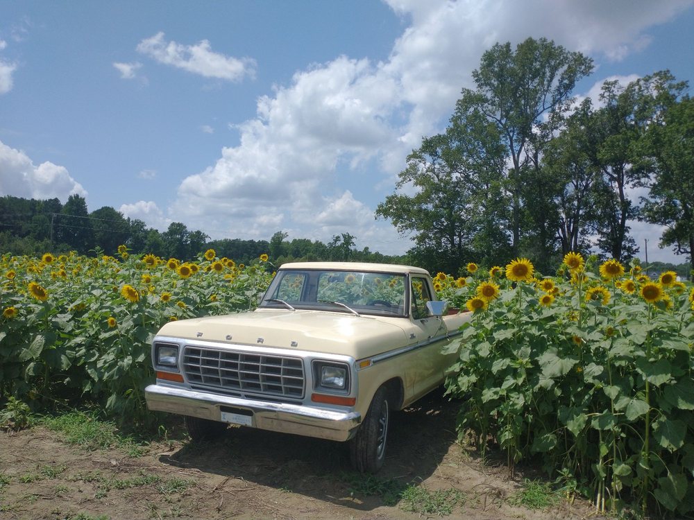 Collin's Produce and Flower Farm