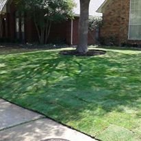 Terra Turf Landscape