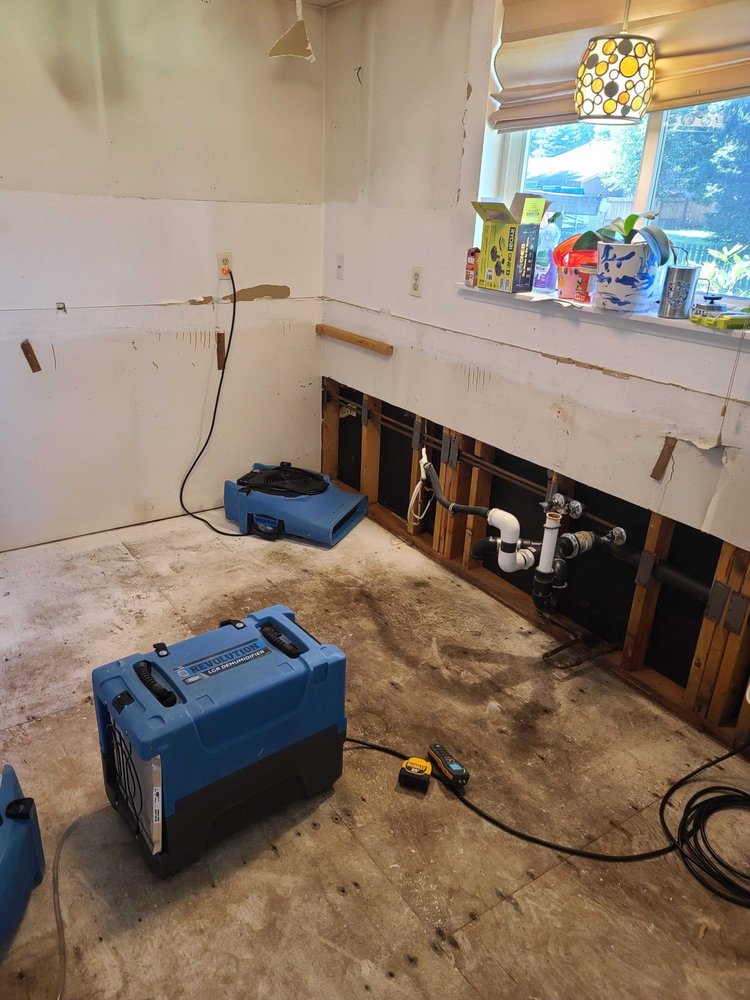 Elements Restoration