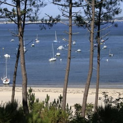 Plage Pereire Et Arbousiers Beaches Boulevard Pereire