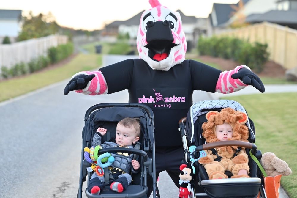 Pink Zebra Moving - Charlotte