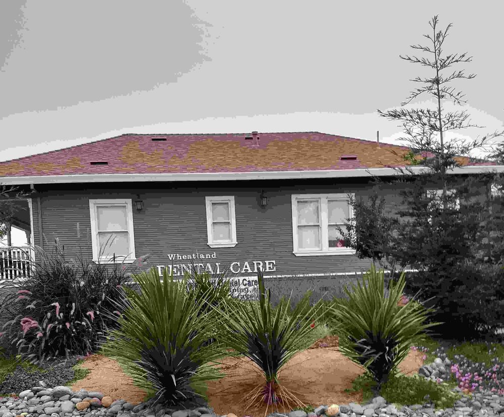 image of business Wheatland Dental Care
