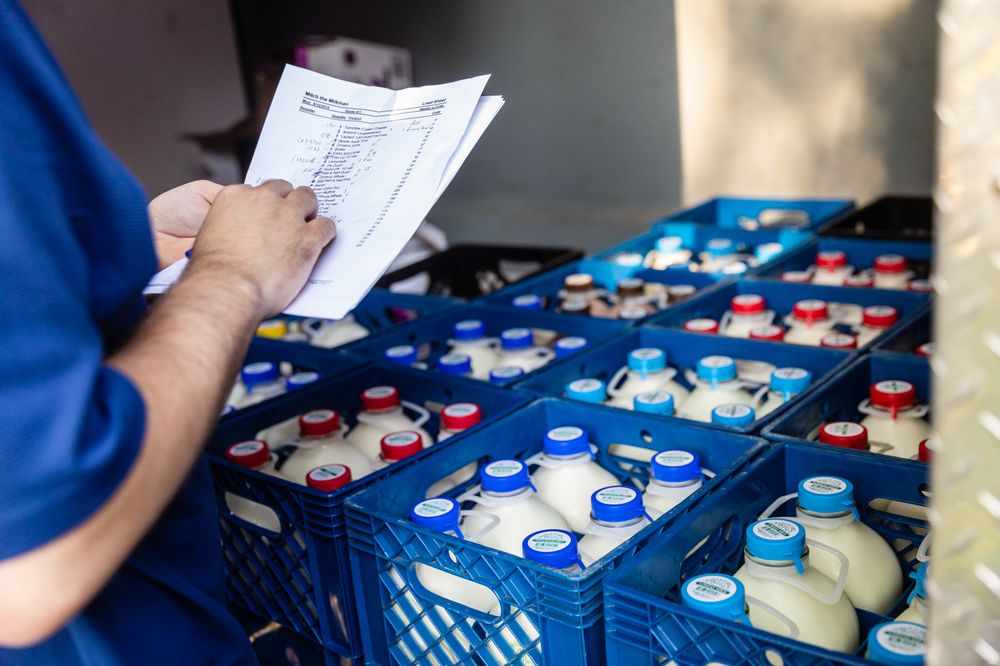 Mitch The Milkman