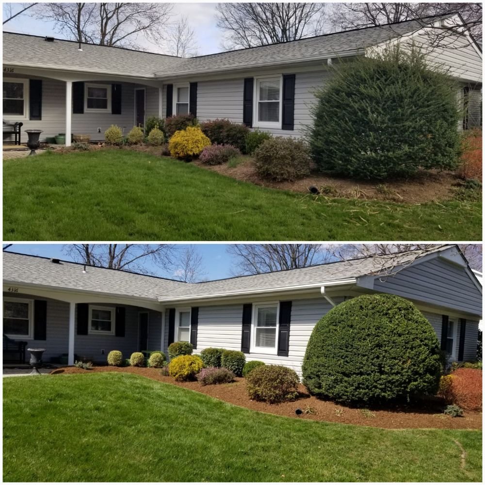 HG Grass Care