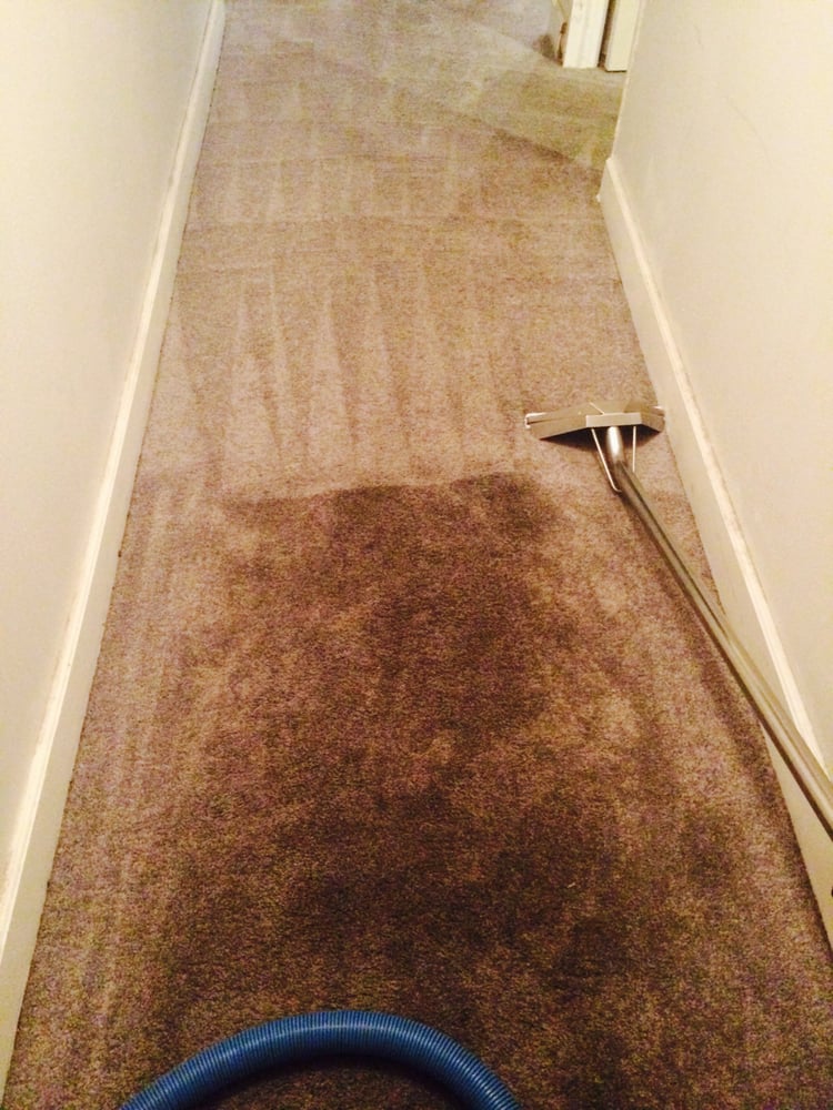 Greasy Hall Way Carpet Half Clean Dirty Yelp Greasy Hall Way Carpet Half Clean Dirty Yelp
