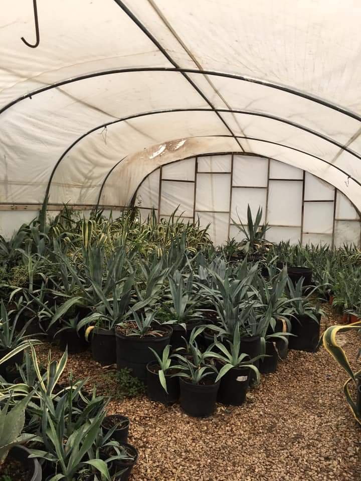 Sandy's Nursery
