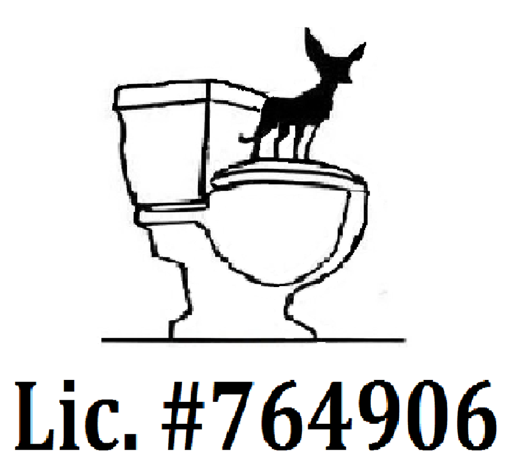 Chihuahua Plumbing