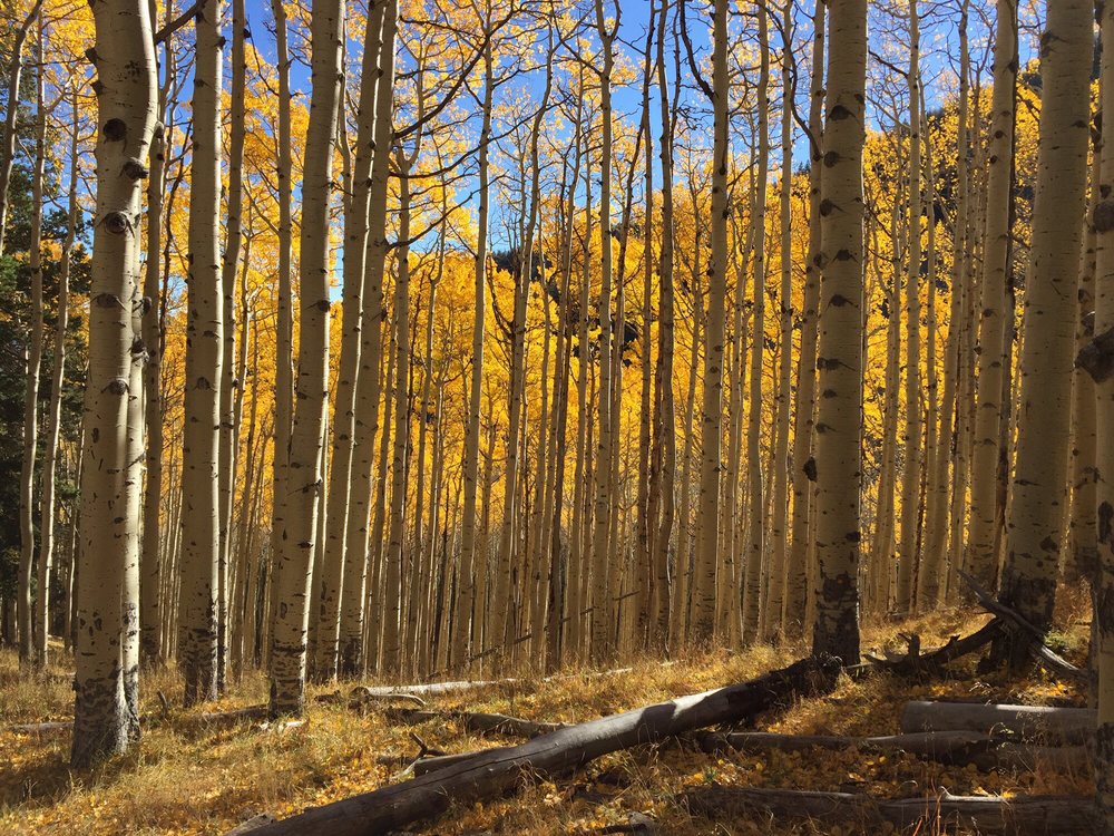 the inner basin trail