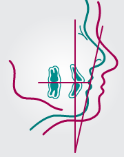 Northwest Oral and Maxillofacial Surgery Associates, PC