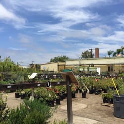 Walter Andersen Nursery 67 Photos 148 Reviews Gardening Photo Of Walter Andersen Nursery San Go Ca United States