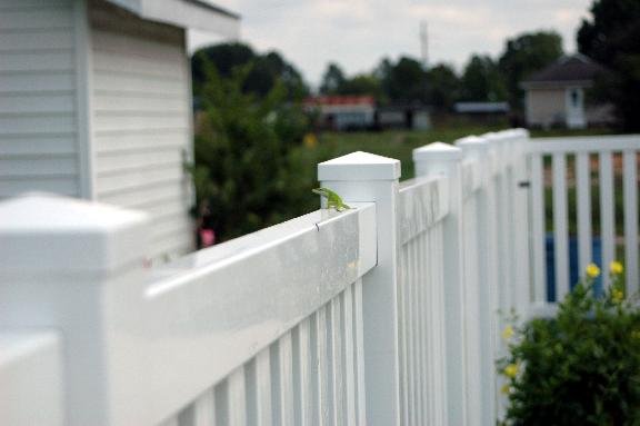 R & S Fence
