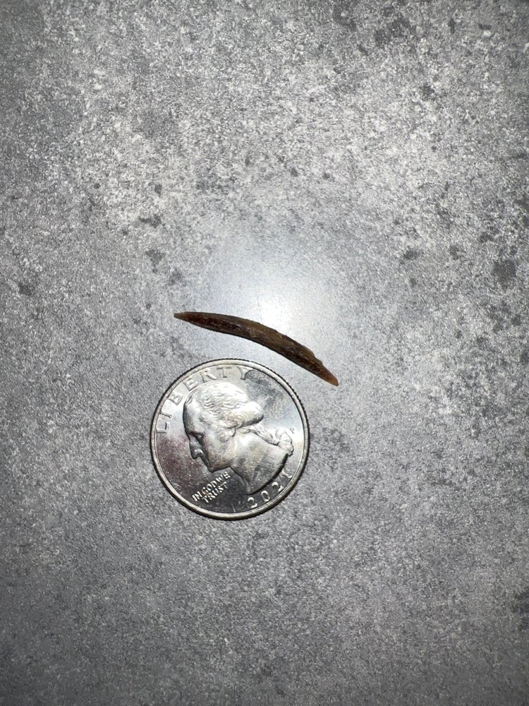 China Buffet and Hibachi