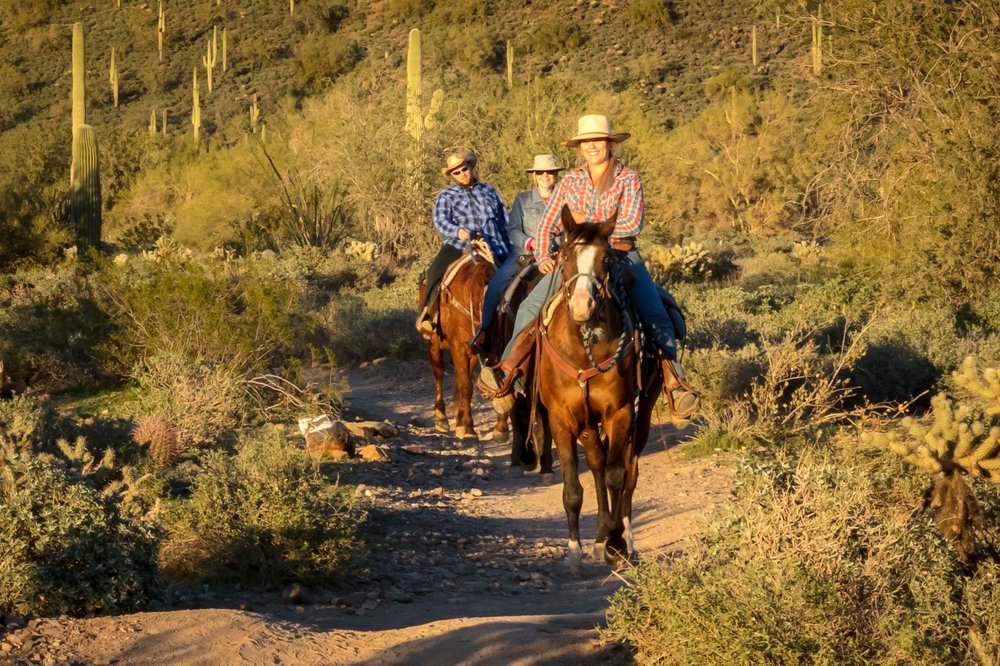 Cave Creek Trail Rides 63 Photos & 51 Reviews Horseback Riding 37019 N 32nd St, Cave Creek