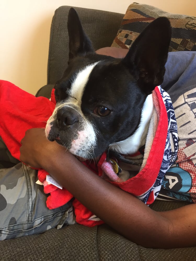 Hope Springs Veterinary at Great Bridge 155 Photos Veterinarians 1010 Cedar Rd, Chesapeake