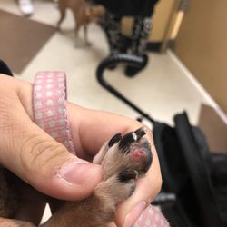 petsmart 111 photos 97