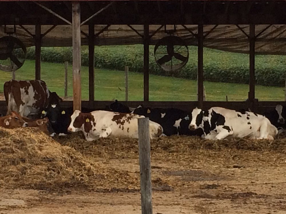 South Mountain Creamery