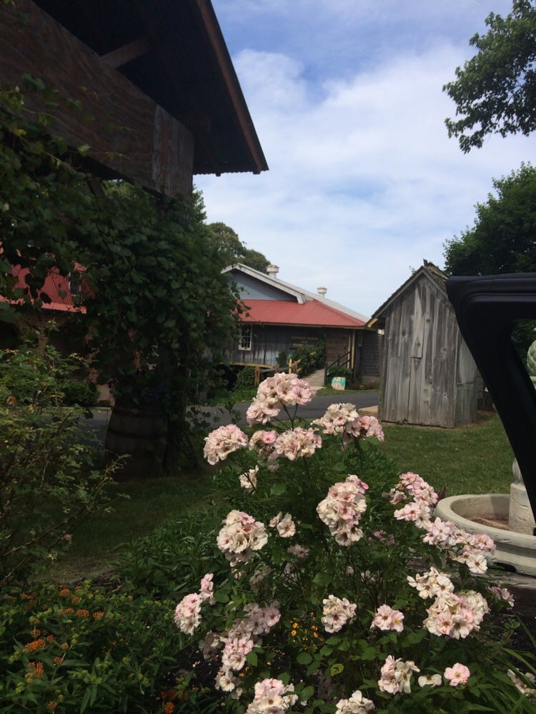 Nassau Valley Vineyards & Winery 10 Photos & 18 Reviews Wineries