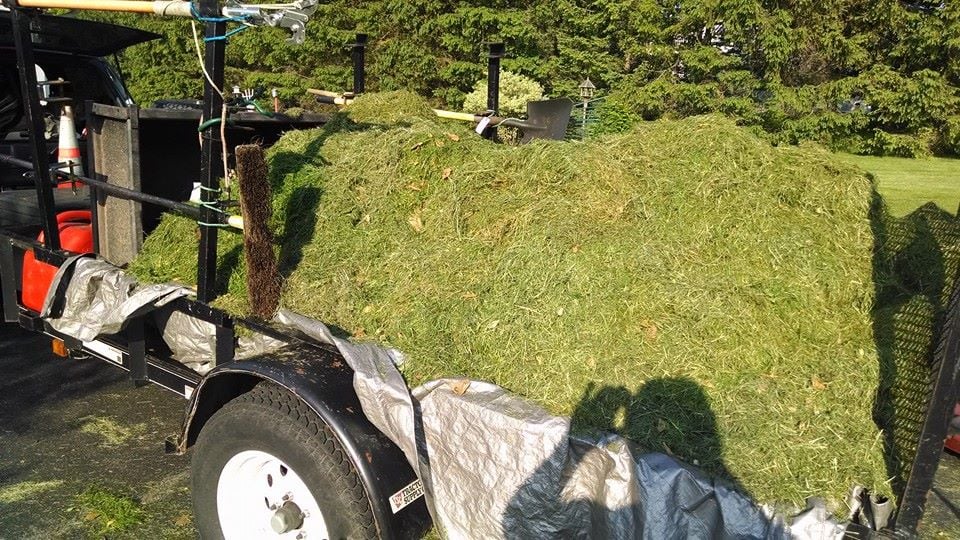 Desperate Landscapes and Lawn Care