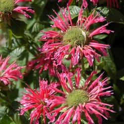 Christy Webber Farm & Garden Center - 37 Photos & 55 Reviews