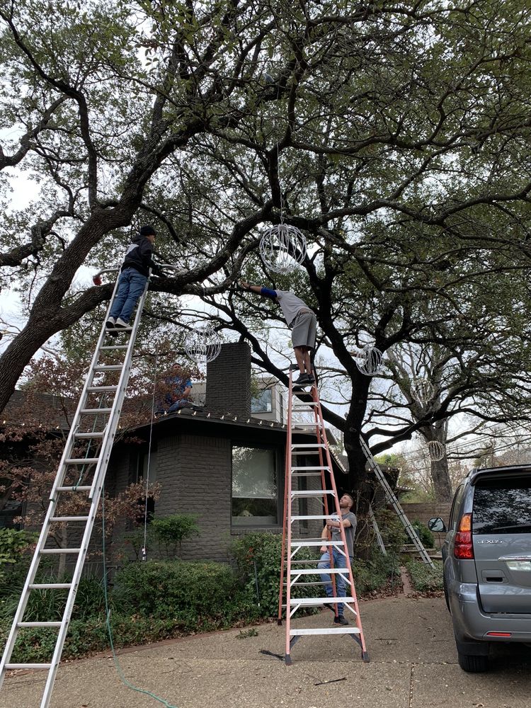 Brandon's Window Cleaning