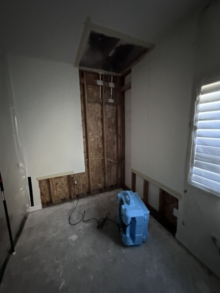 Mold Doctors
