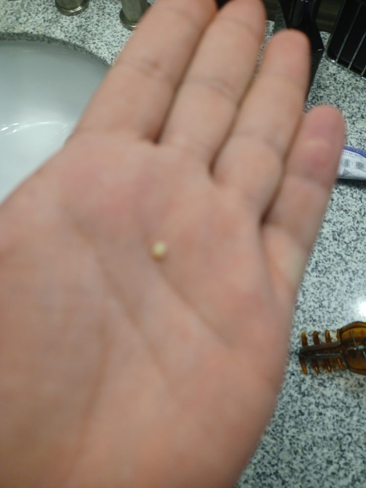 image of business Orange City Dentist- Universal Smiles Dentistry