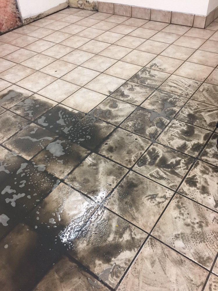 Marlins Carpet Cleaning
