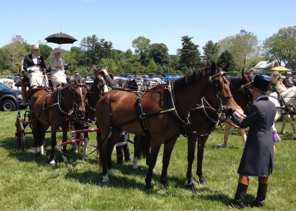 Radnor Hunt Nightlife 826 Providence Rd, Malvern, PA Phone Number