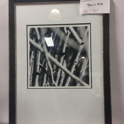 Bellissima Art And Custom Framing 36 Photos Galleries 200 Photo Of Bellissima Art And Custom Framing Costa Mesa Ca United States
