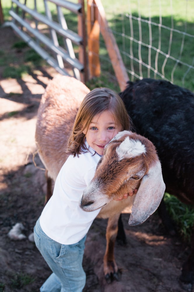 National Property Inspections