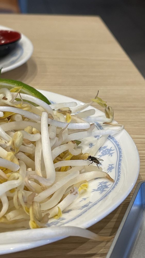 1 Pho Noodle & Grill