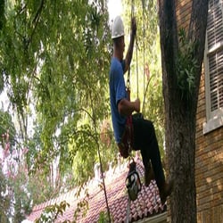 Horton Tree Service - Landscaping - 5100 Glenn Ct, Far South, Fort