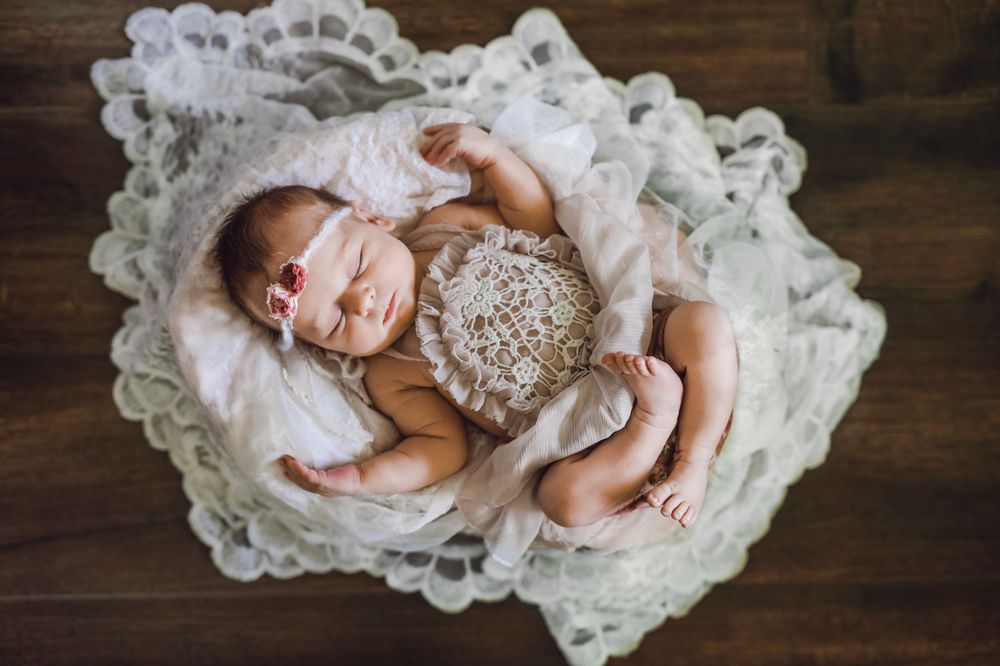 Michele Wood Photography
