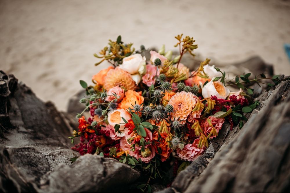 Fleurs Du Soleil