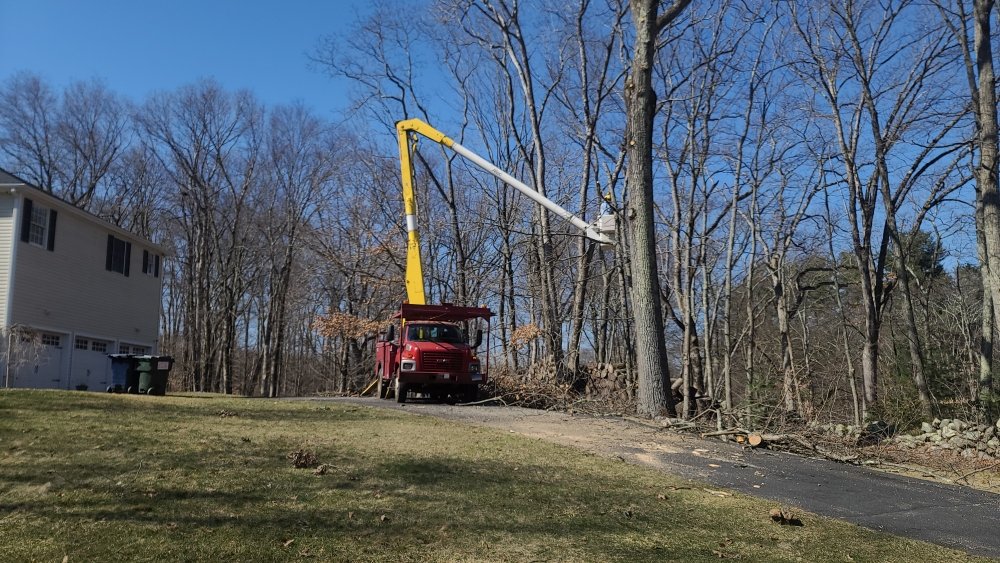 VS Landscaping